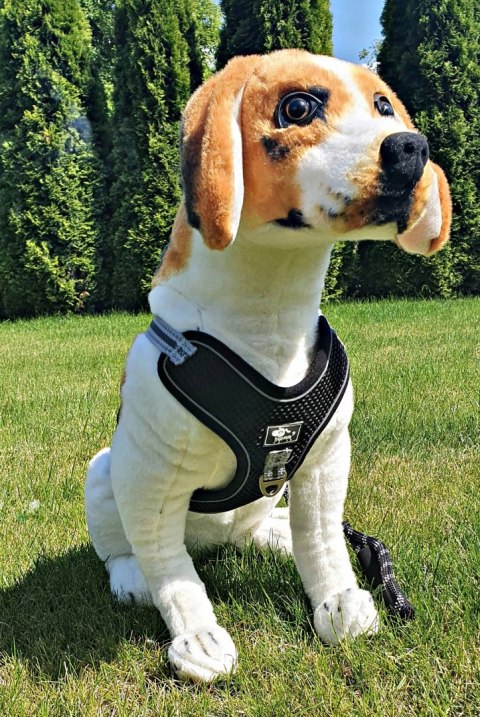 Szelki EASY-WALK treningowe dla psa ze smyczą XL Szelki EASY-WALK treningowe dla psa ze smyczą XL