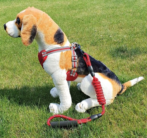 Szelki EASY-WALK treningowe dla psa ze smyczą XL Szelki EASY-WALK treningowe dla psa ze smyczą XL