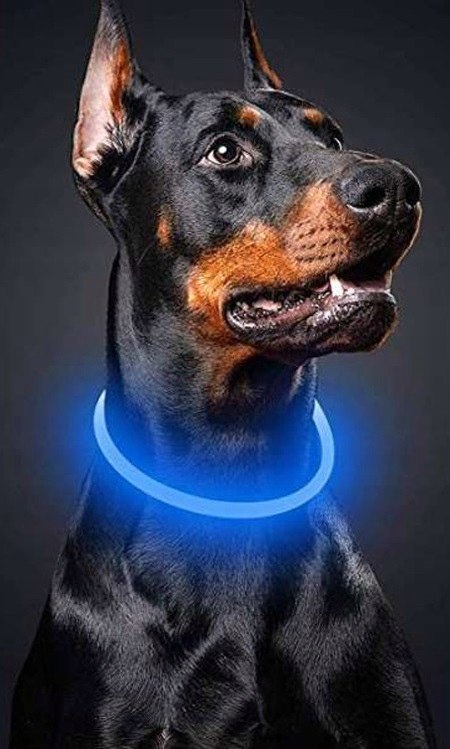 OBROŻA ŚWIECĄCA LED DLA PSA REGULOWANA USB OBROŻA ŚWIECĄCA LED DLA PSA REGULOWANA USB