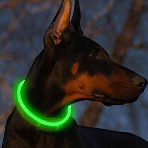 OBROŻA ŚWIECĄCA LED DLA PSA REGULOWANA USB OBROŻA ŚWIECĄCA LED DLA PSA REGULOWANA USB