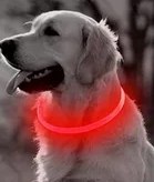 OBROŻA ŚWIECĄCA LED DLA PSA REGULOWANA USB OBROŻA ŚWIECĄCA LED DLA PSA REGULOWANA USB