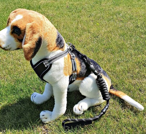 Szelki EASY-WALK treningowe dla psa ze smyczą XL Szelki EASY-WALK treningowe dla psa ze smyczą XL