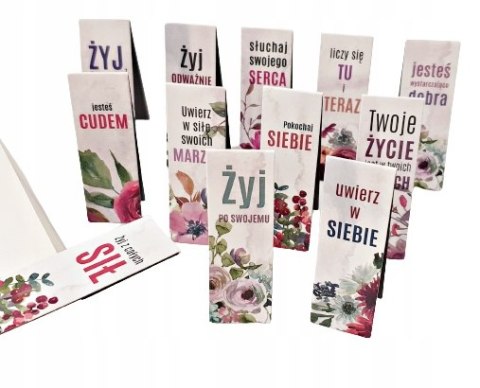 ZAKŁADKI magnetyczne DO KSIĄŻEK klipsy spinacze + organizer 12 sztuk ZAKŁADKI magnetyczne DO KSIĄŻEK klipsy spinacze + organizer 12 sztuk
