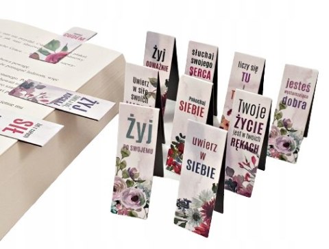ZAKŁADKI magnetyczne DO KSIĄŻEK klipsy spinacze + organizer 12 sztuk ZAKŁADKI magnetyczne DO KSIĄŻEK klipsy spinacze + organizer 12 sztuk