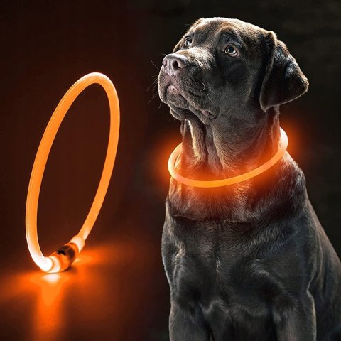 OBROŻA ŚWIECĄCA LED DLA PSA REGULOWANA USB OBROŻA ŚWIECĄCA LED DLA PSA REGULOWANA USB